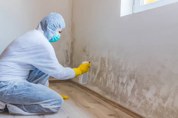 Hvac And Air Duct Mold Remediation inspection of HVAC system in Holbrook